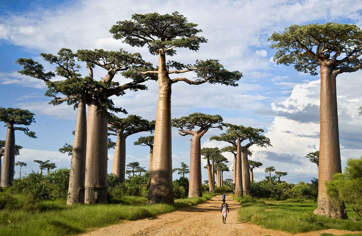 Tanzania